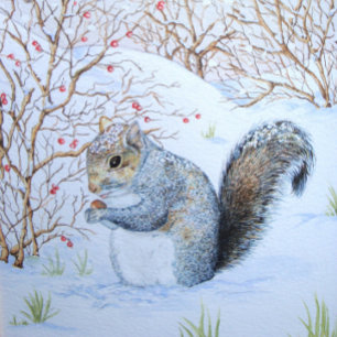 cute grey squirrel snow scene wildlife gift tags