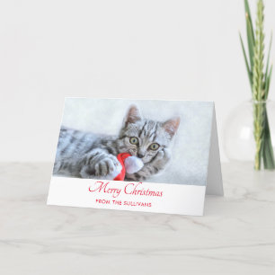 Cute Grey Tabby Cat Christmas Hat Xmas Card
