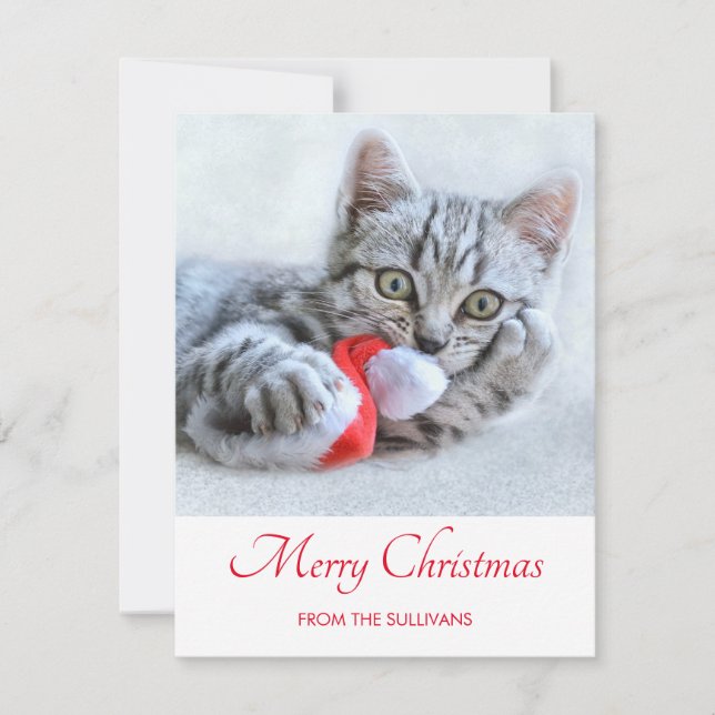 Cute Grey Tabby Cat Christmas Hat Xmas Holiday Card (Front)