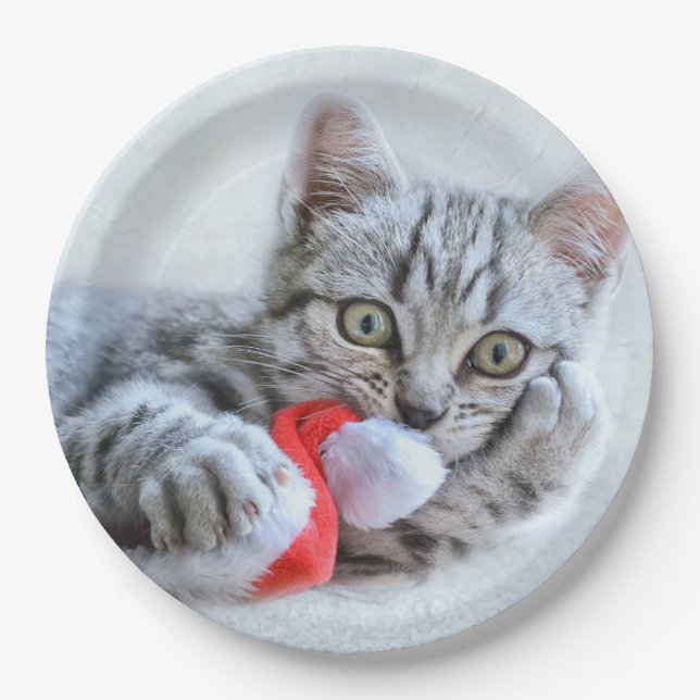 Cute Grey Tabby Cat Christmas Hat Xmas Paper Plate (Front)