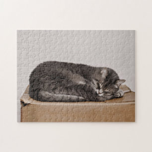 Cute Grey Tabby Cat Sleeping On Box Jigsaw Puzzle