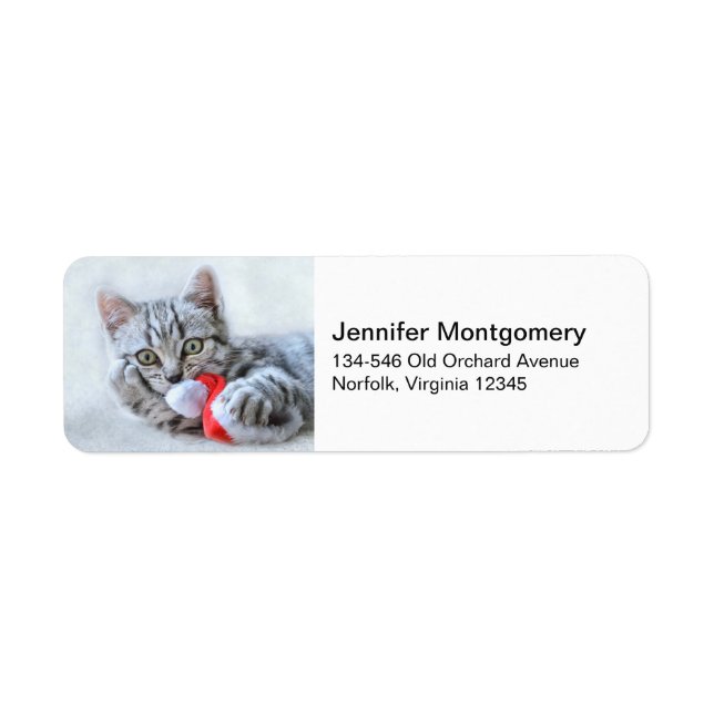 Cute Grey Tabby Cat w/ Christmas Hat Xmas (Front)