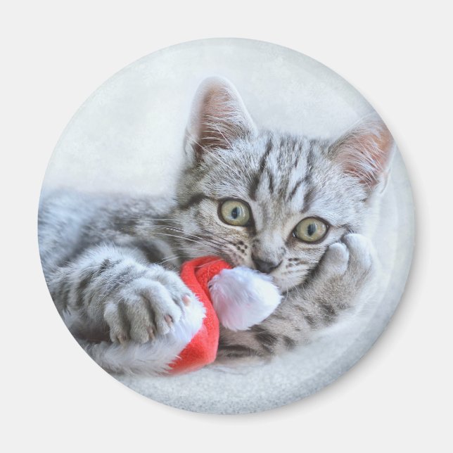 Cute Grey Tabby Cat w/ Christmas Hat Xmas Magnet (Front)