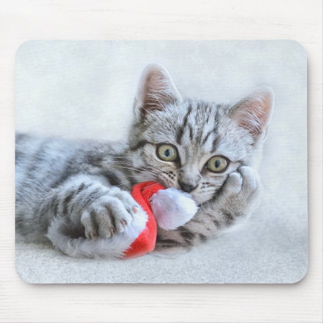 Cute Grey Tabby Cat w/ Christmas Hat Xmas Mouse Pad (Front)