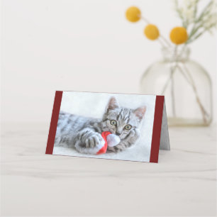 Cute Grey Tabby Cat w/ Christmas Hat Xmas Place Card