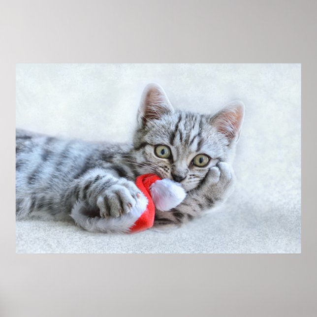 Cute Grey Tabby Cat w/ Christmas Hat Xmas Poster (Front)