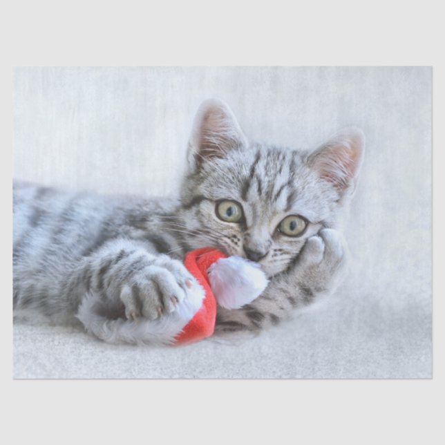 Cute Grey Tabby Cat w/ Christmas Hat Xmas Tissue Paper (Front)