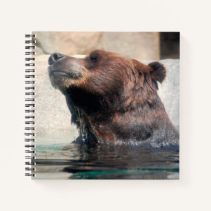 Cute Grizzly Bear in the Water Notebook