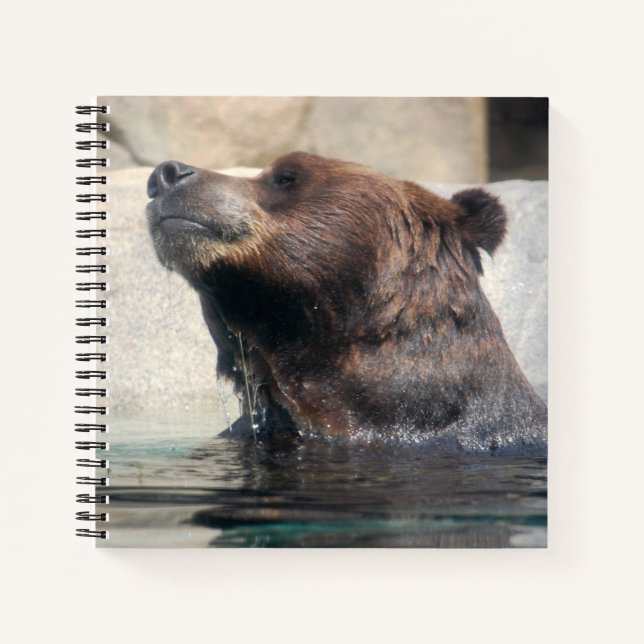 Cute Grizzly Bear in the Water Notebook (Front)