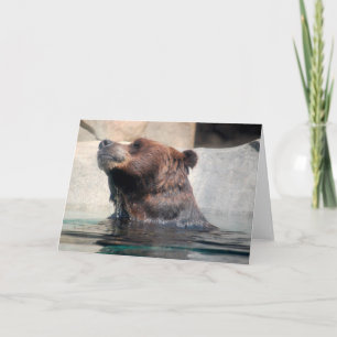 Cute Grizzly Bear in the Water Thank You Card