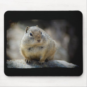 Cute Ground Squirrel Mouse Pad Black Border