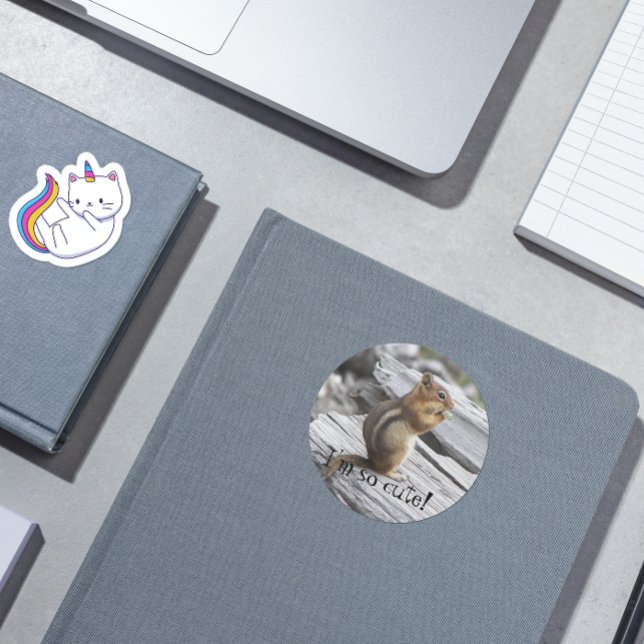 Cute Ground Squirrel Nature Photo Classic Round Sticker (In Situ Book)