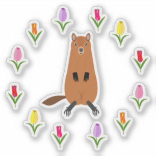 Cute Groundhog and Tulip Flowers