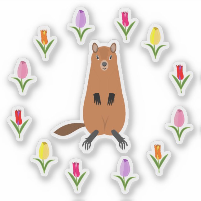 Cute Groundhog and Tulip Flowers (Front)