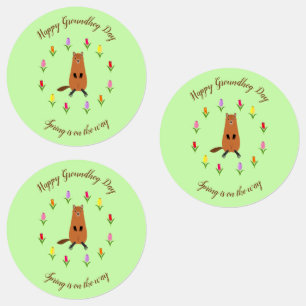 Cute Groundhog and Tulip Flowers Custom