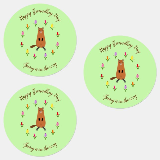 Cute Groundhog and Tulip Flowers Custom (Group)