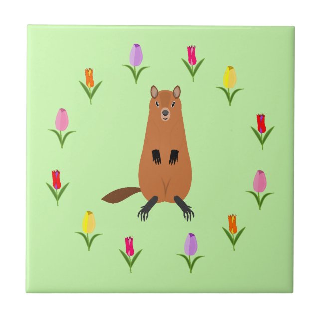 Cute Groundhog and Tulip Flowers Tile (Front)