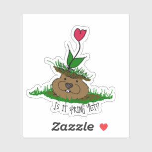 Cute Groundhog Looking for Spring