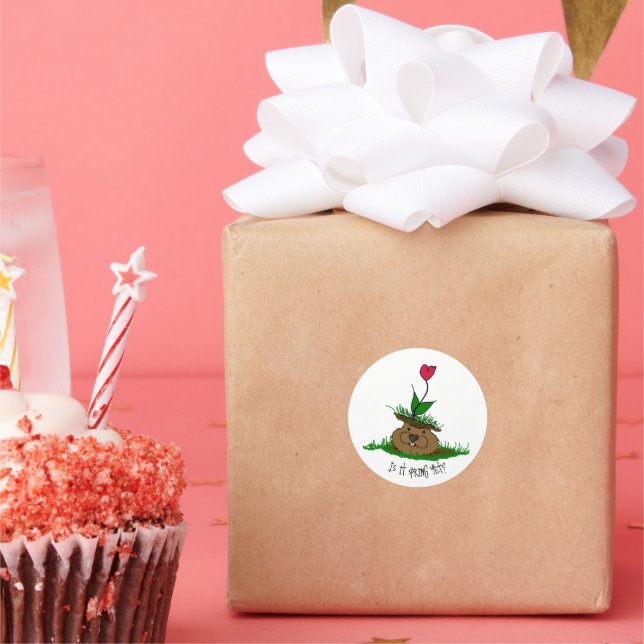 Cute Groundhog Looking for Spring Classic Round Sticker (Party)