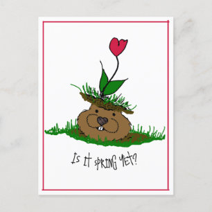 Cute Groundhog Looking for Spring Holiday Postcard