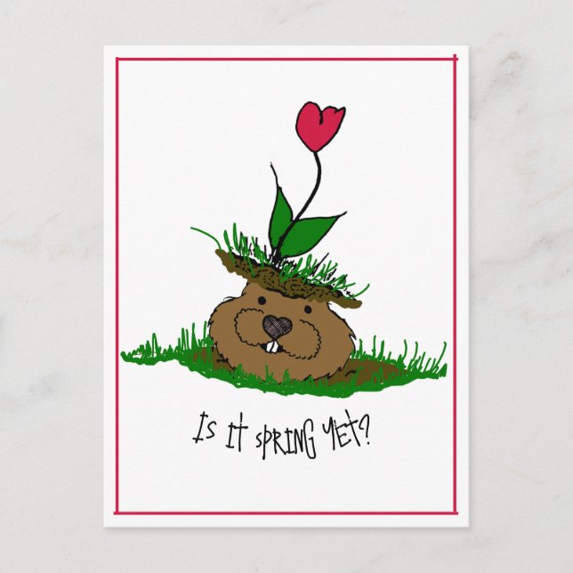 Cute Groundhog Looking for Spring Holiday Postcard (Front)