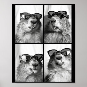 Cute Groundhogs Sungles Cool Forest Animal Photo B Poster