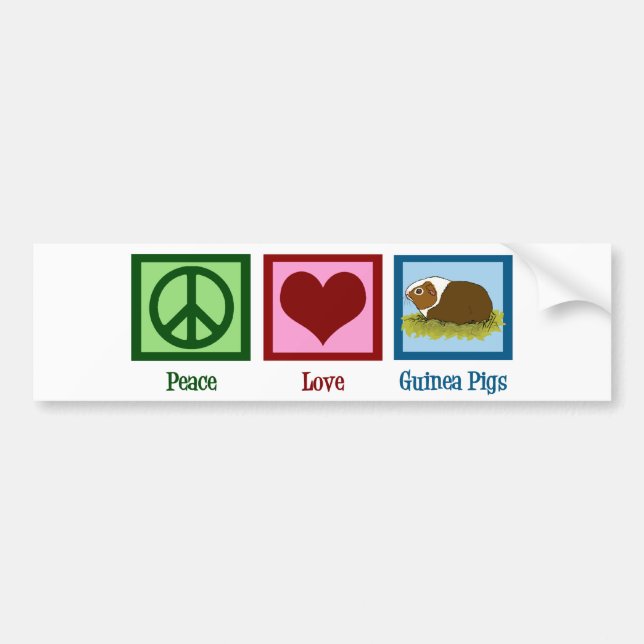 Cute Guinea Pig Bumper Sticker (Front)