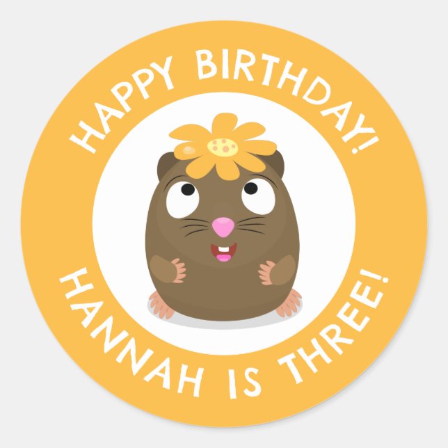 Cute guinea pig cartoon personalized birthday classic round sticker (Front)