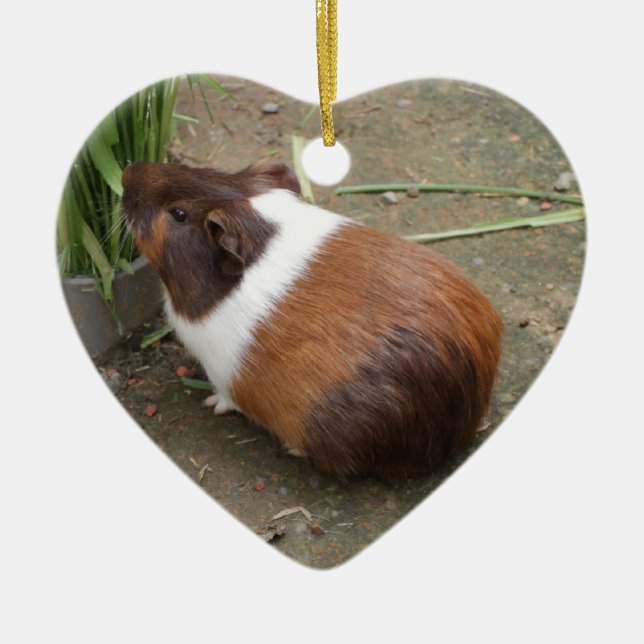 Cute Guinea Pig Ceramic Ornament (Front)