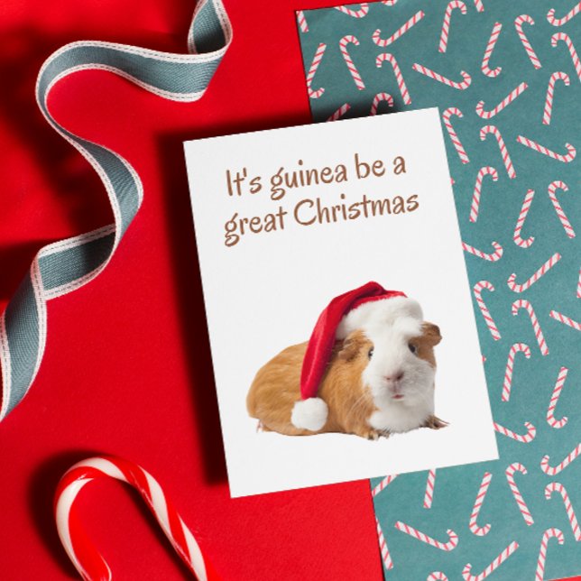  Cute Guinea pig Christmas Card (Creator Uploaded)