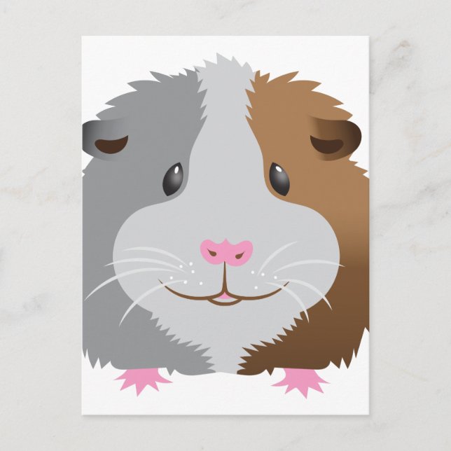 cute guinea pig face postcard (Front)