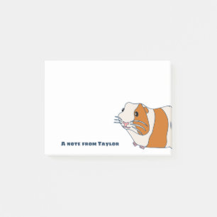 Cute Guinea Pig Illustration Personalized Post-it Notes