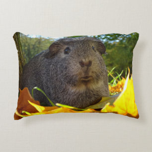 Cute Guinea Pig in Nature Accent Pillow