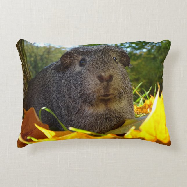 Cute Guinea Pig in Nature Accent Pillow (Front)