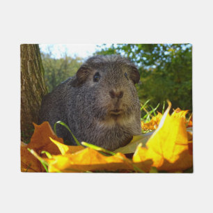 Cute Guinea Pig in Nature Doormat