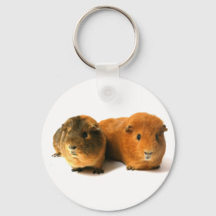 cute guinea pig keychain