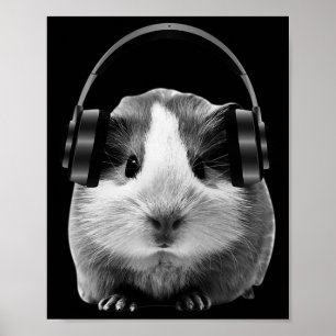 Cute Guinea Pig Listening To Dubstep Poster