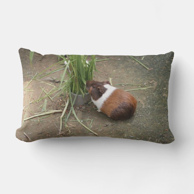 Cute Guinea Pig Lumbar Pillow (Front)
