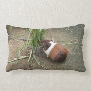 Cute Guinea Pig Lumbar Pillow
