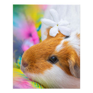 Cute Guinea Pig Pet Photo Print