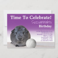 Cute Guinea Pig Volleyball Custom Birthday Party