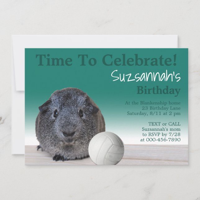 Cute Guinea Pig Volleyball Custom Birthday Party   Invitation (Front)