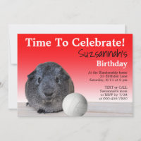 Cute Guinea Pig Volleyball Custom Birthday Party