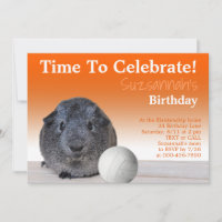Cute Guinea Pig Volleyball Custom Birthday Party