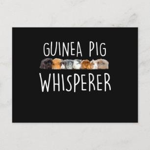 Cute Guinea Pig Whisperer Animal Lover Gift Postcard