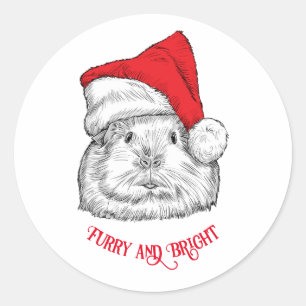 Cute Guinea Pig with Christmas hat, furry and brig Classic Round Sticker