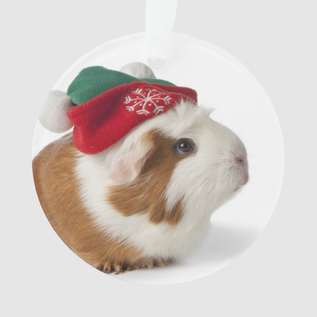 Cute Guinea Pig With Christmas Hat On White Ornament (Front)