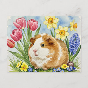Cute Guinea pig with Spring Flowers Postcard