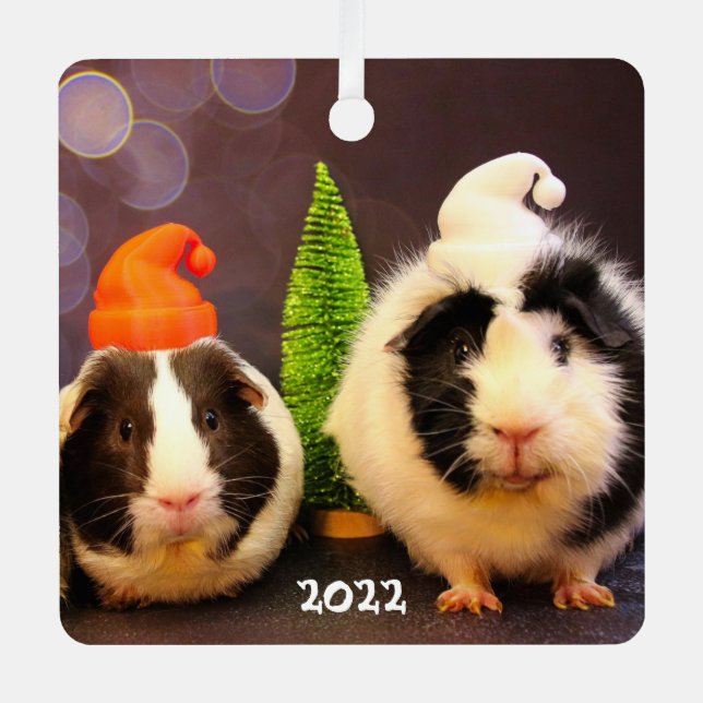 Cute Guinea Pigs in a Santa Hat Metal Ornament (Front)