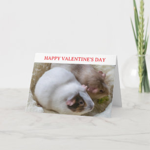 Cute Guinea pigs Valentine's card